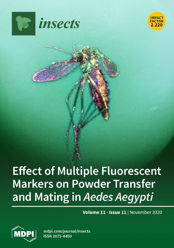 Cover image of Journal Insects V11 Issue 11